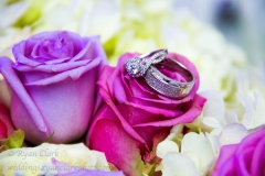 Wedding Rings Detail
